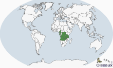 栗头侏秧鸡分布图