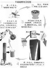 螽斯冬季繁殖图