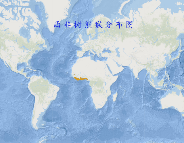 西非树熊猴分布图