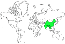 白眉棕啄木鸟地理分布