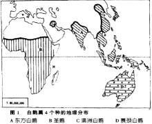 澳洲白鹮分布图