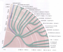 物种进化图