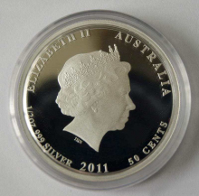 兔耳袋狸（正面图案）