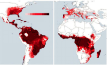 白纹伊蚊分布图