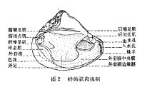 合并图册